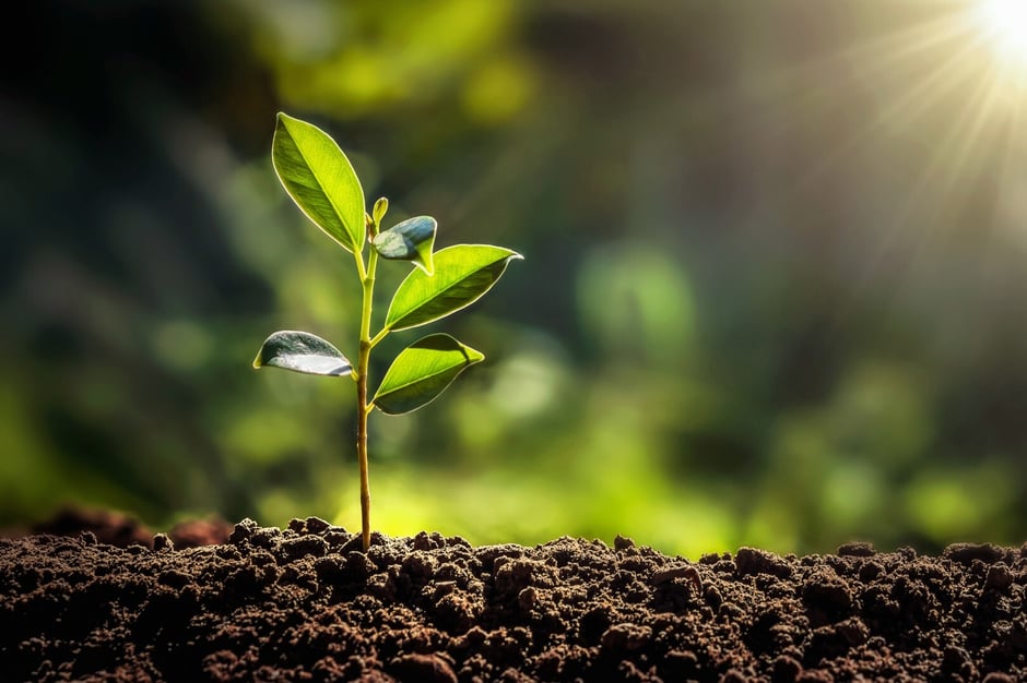 AdobeStock_308429734 (Groß)