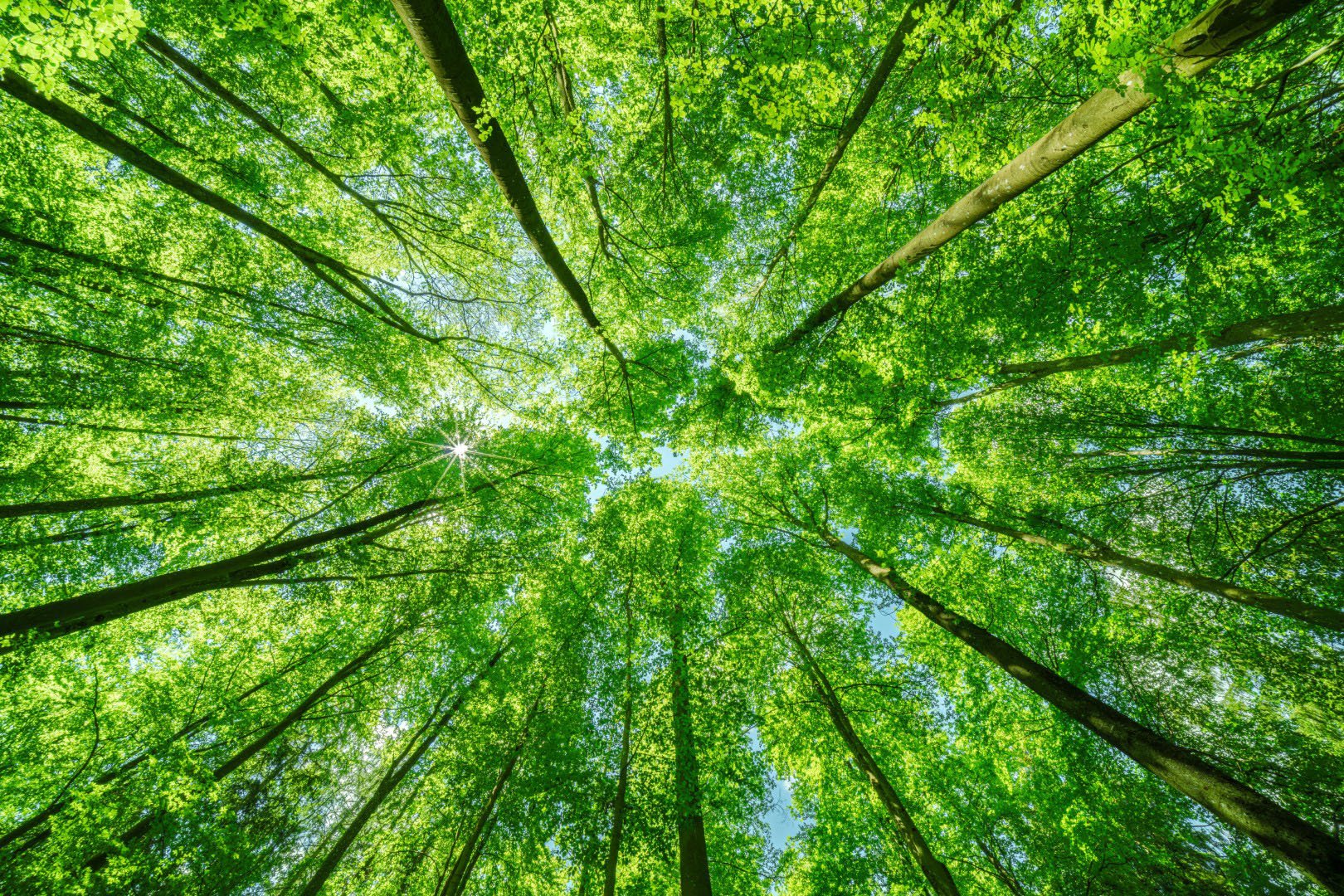 AdobeStock_825397291 (Klein)