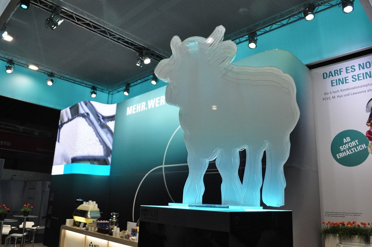 MSD exhibition stand