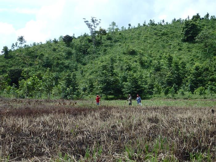 Famab Stiftung Wald